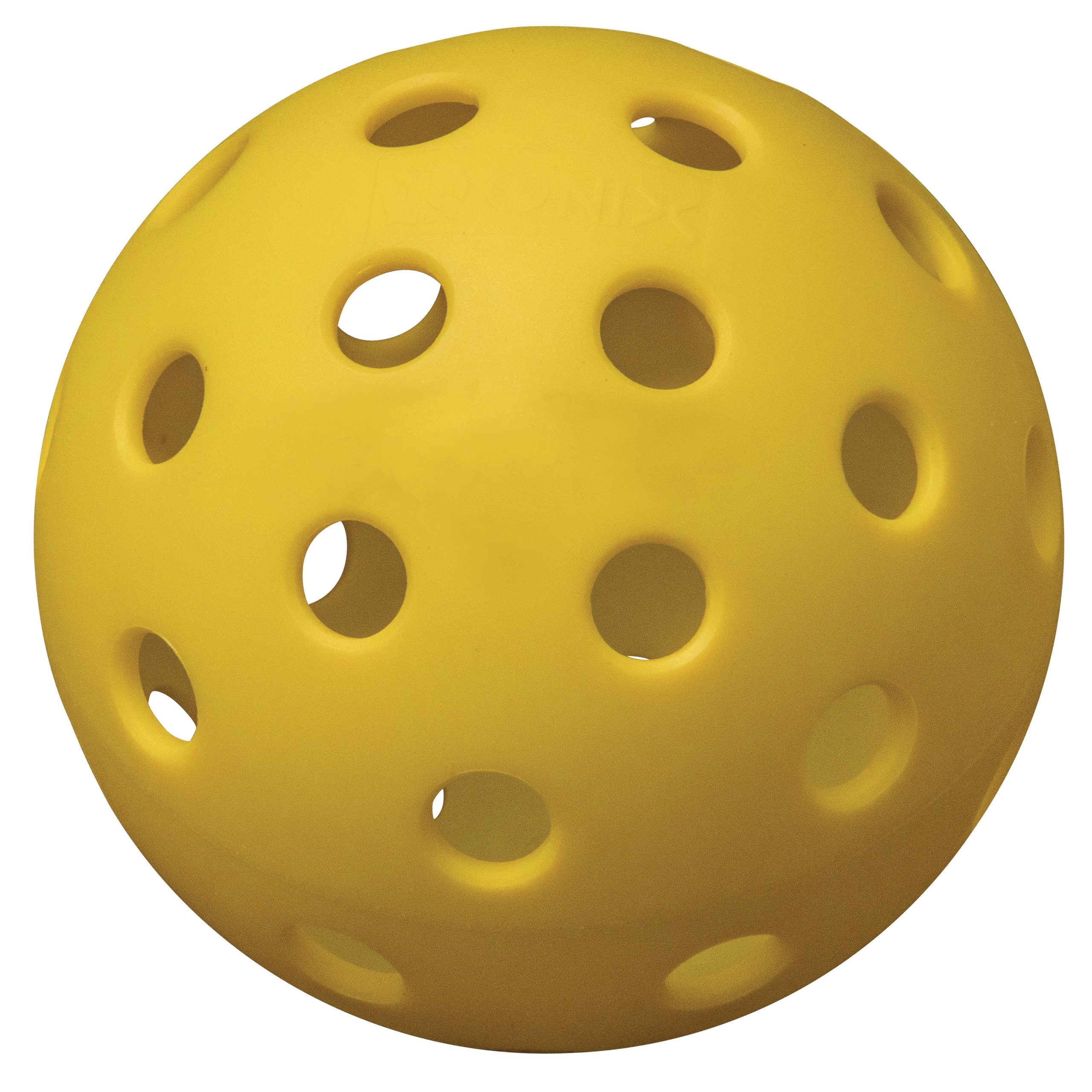 Z1 Starter Pickleball Kit - Image 8